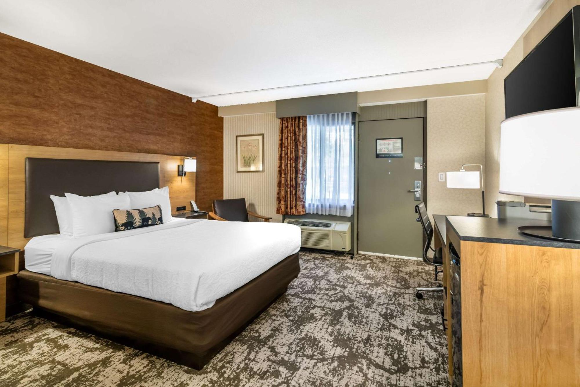 Maine Evergreen Hotel, Ascend Collection Hotel